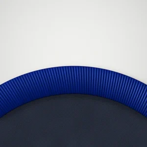 border colour royal blue