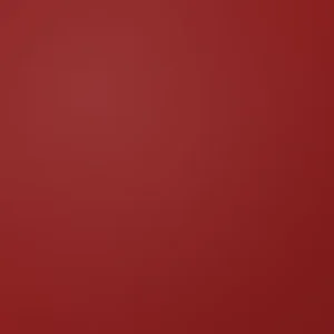 burgundy red patch colour swatch
