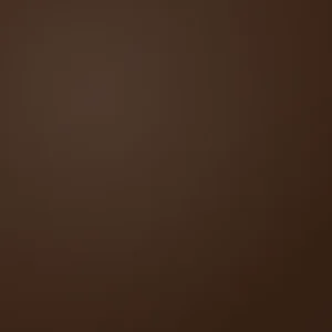 dark brown patch colour swatch