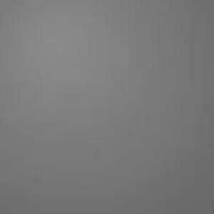 Light Grey patch colour