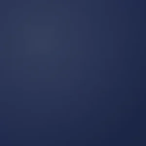 navy blue patch colour swatch