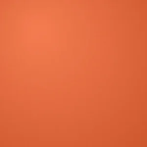 Neon Orange patch colour