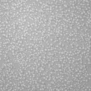 Texture 04 Pebble Silver patch colour