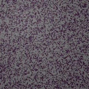 Texture 06 Sparkle Grey patch colour